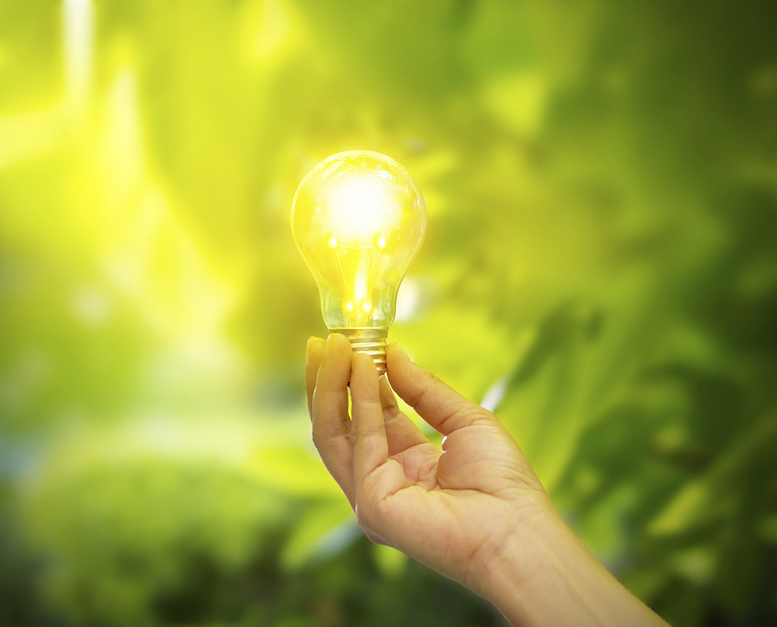 hand holding a light bulb with energy on fresh green